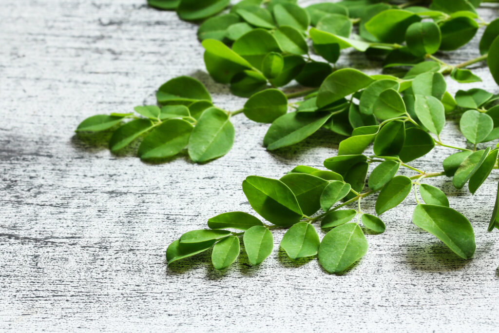 Moringa oleifera: proprietà del superfood più trendy del 2022