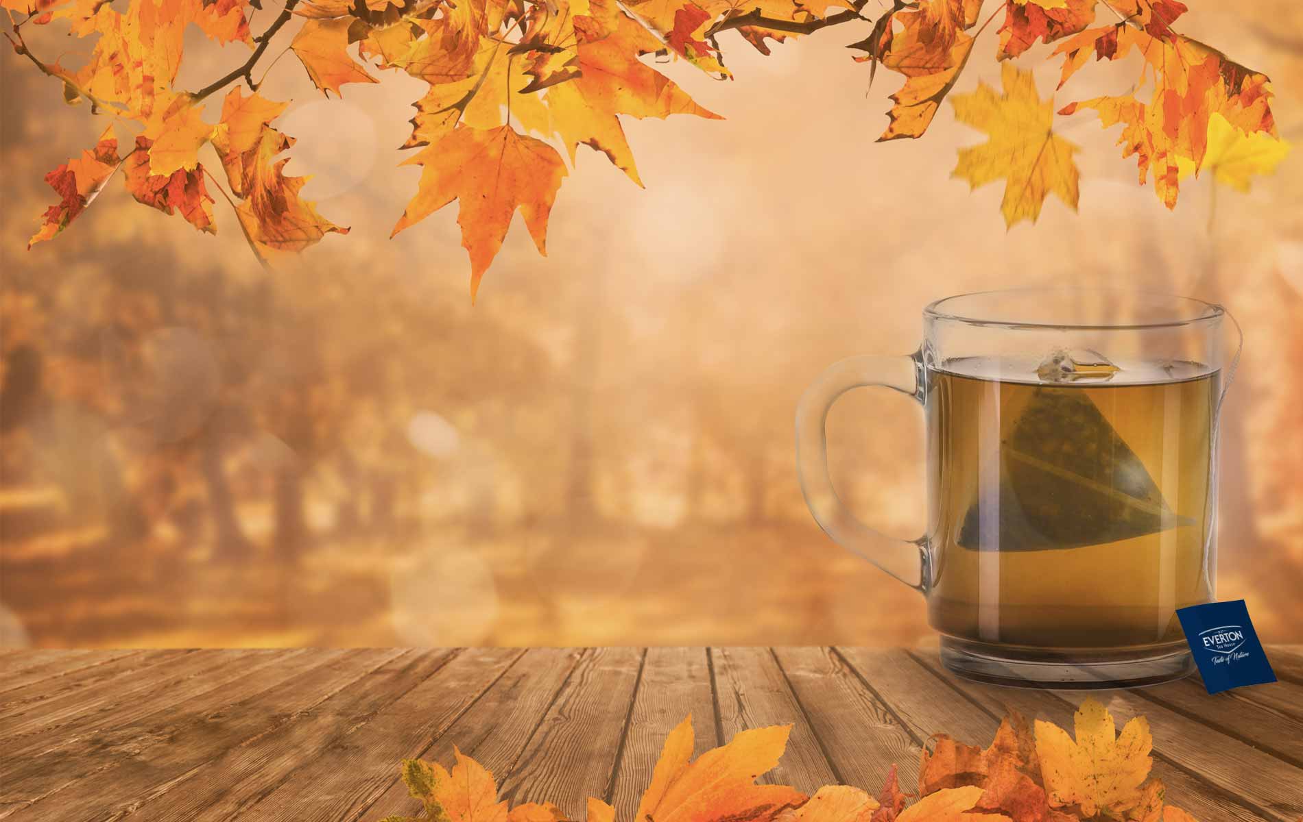 Linea Premium Tè Everton