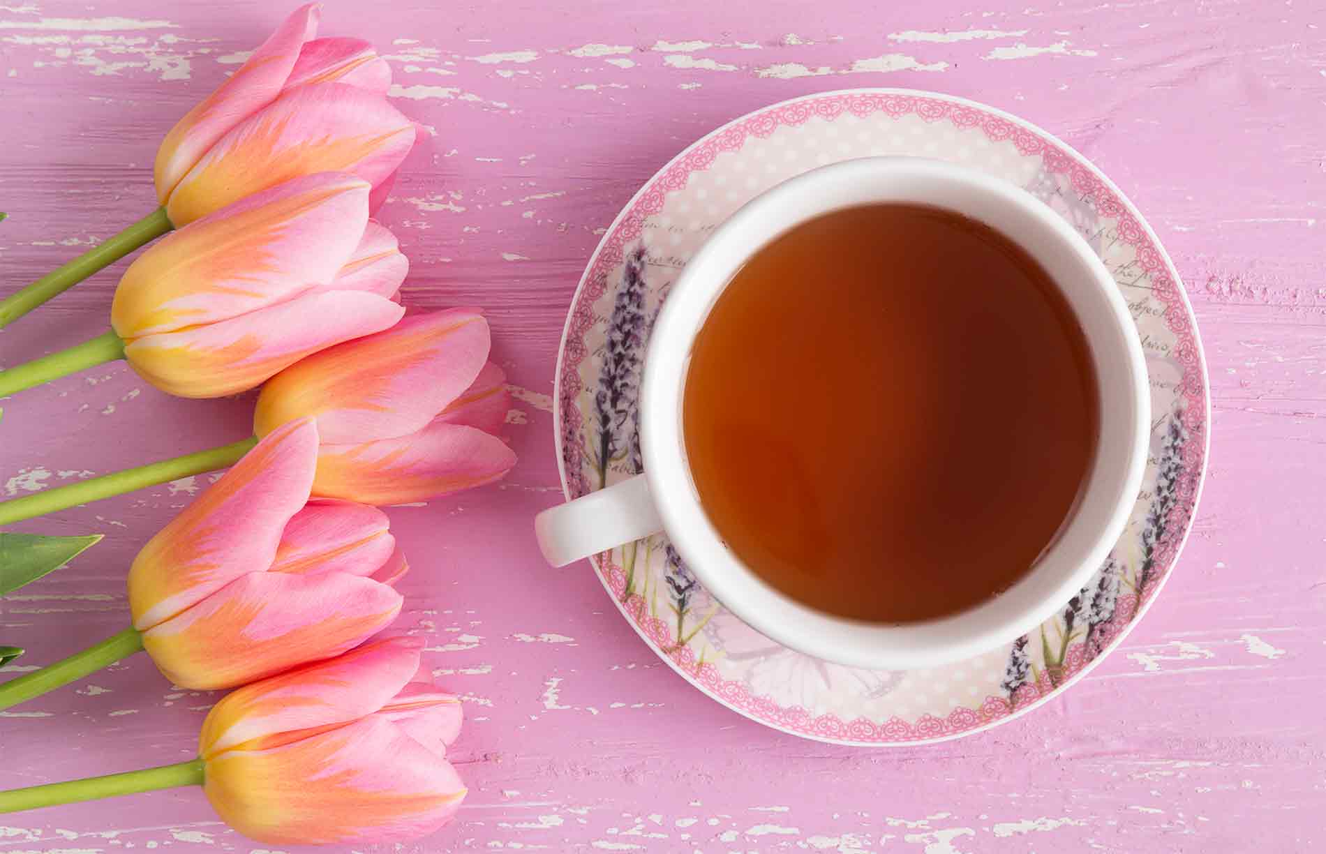 Tè Verde Everton. Scopri i nuovi gusti!