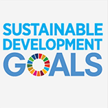 Development objectives